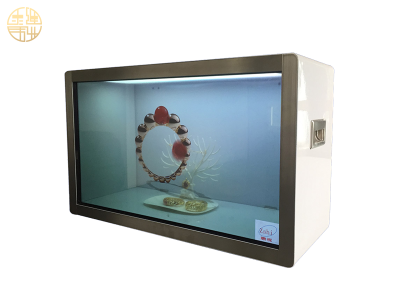 55寸透明液晶屏展示柜(后開門) 55寸透明液晶屏展示柜(后開門)